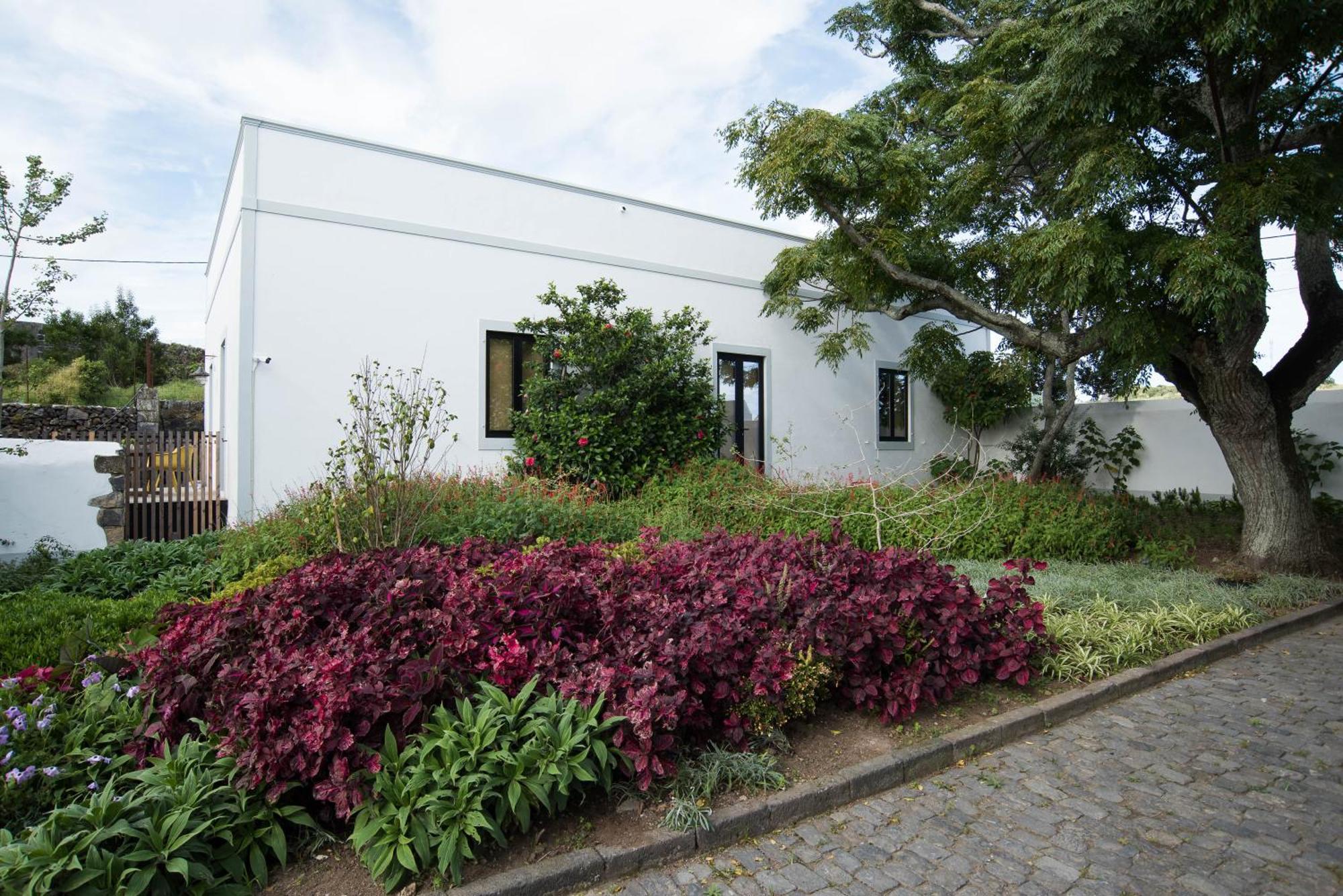 Green&Houses Ponta Delgada  Exterior photo